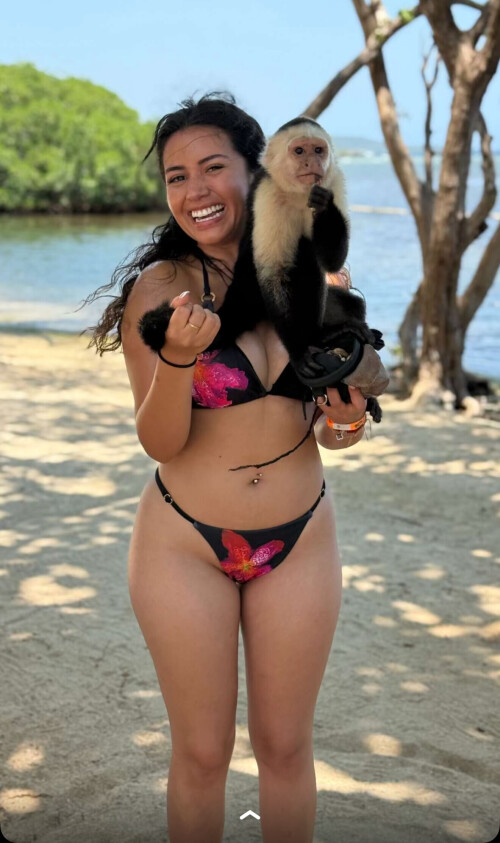 IMG 6992f1e6af51aae38ea3