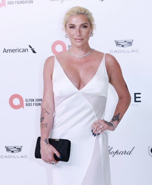 IMG 70273c2b3211e9c9c7ac