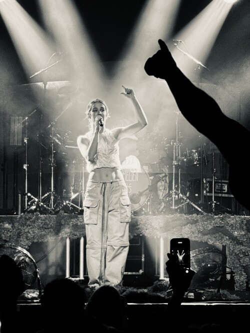 IMG 7045 13d644415bdf3005b