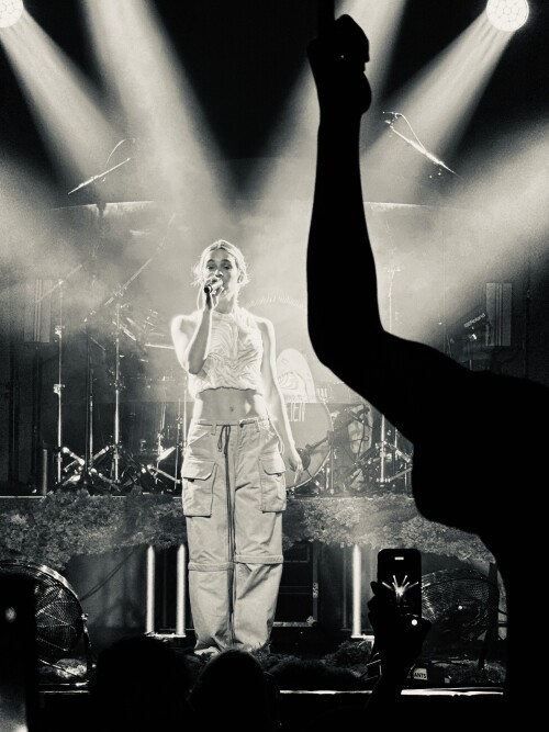 IMG 7046c502936a80e8122c