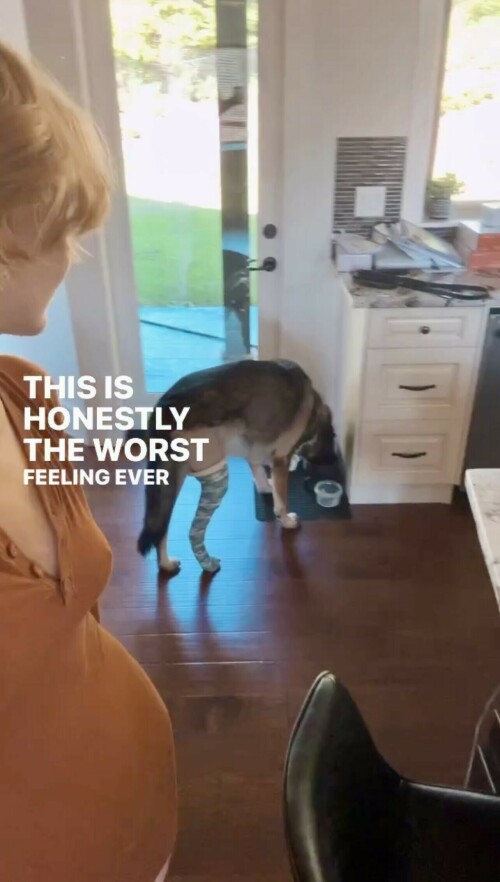 IMG 7111313847e0019ce9d7