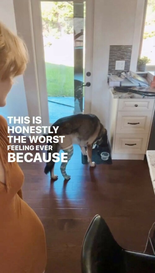 IMG 711216f6a0325a1b39c2