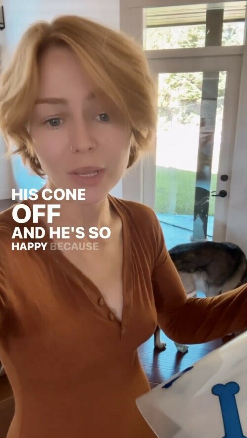 IMG 7115f1d75a5ad0992666