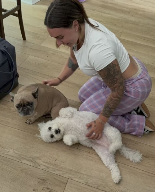 IMG 7184588d66945d257ae2