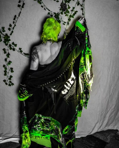 IMG 7255615bc73b368c8bad