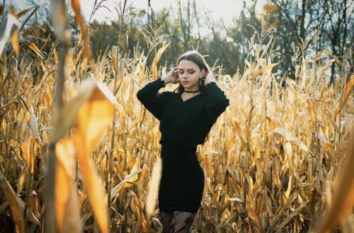 IMG 731152406de6b78fea01