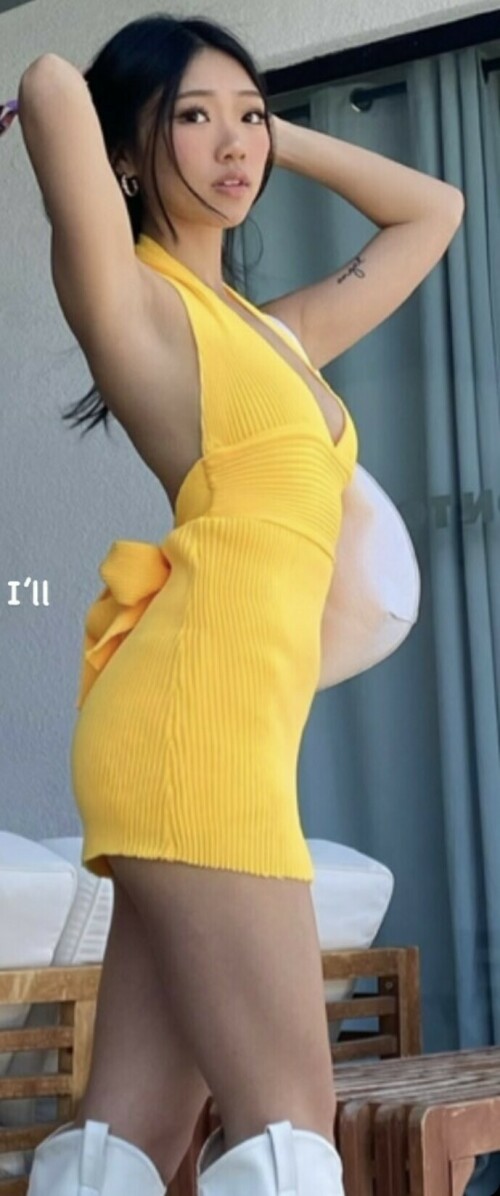 IMG 7337735cab063de33170