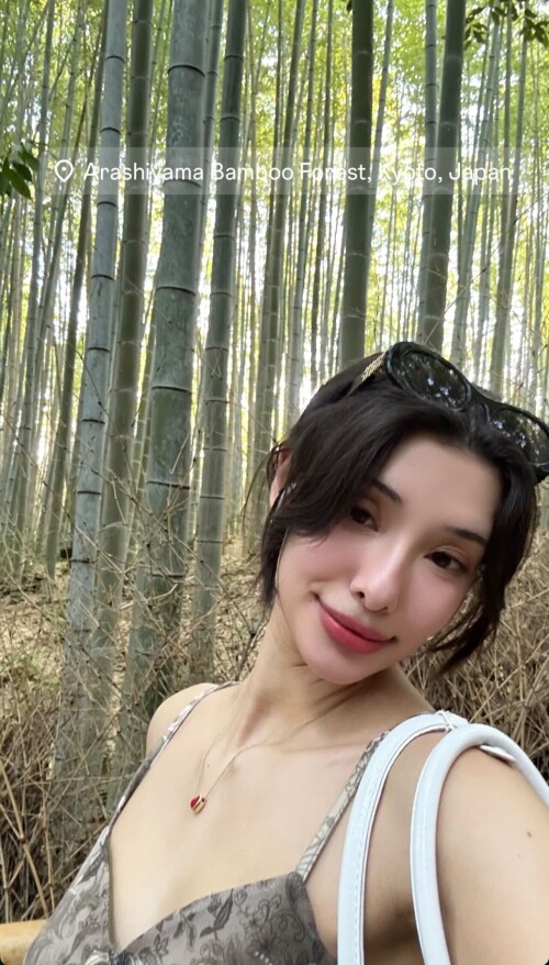 IMG 73513c32f8c2ec64215a