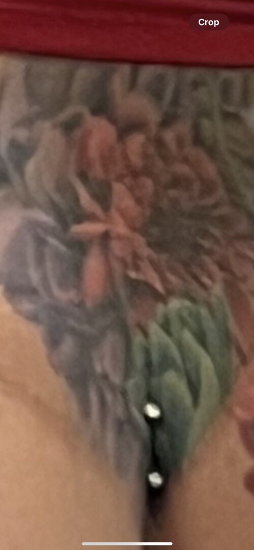 IMG 73622de2037e6c895417