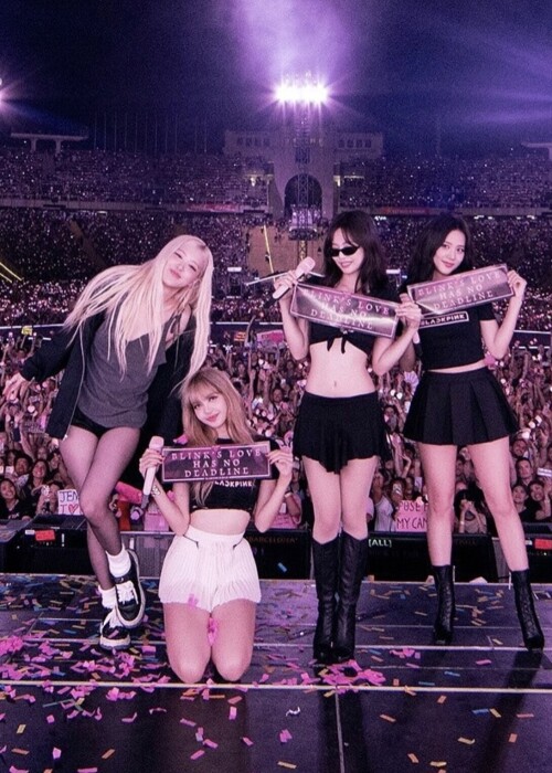 IMG 7383271e04adacc40a63