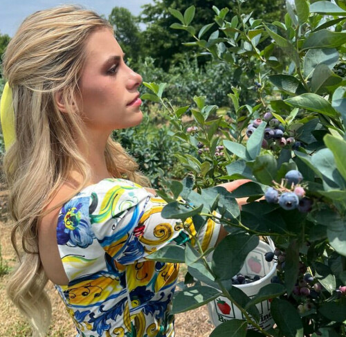 IMG 74723d56a8fe4c6247b4