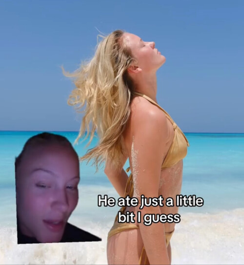 IMG 7535261234f73758affd