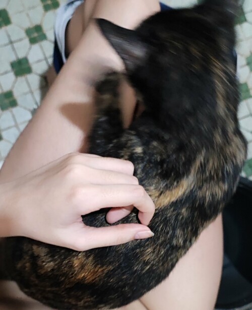 IMG 76852a5e98d5bf5c90c6