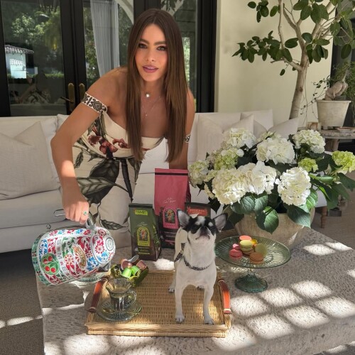 IMG 7731ad87cec09eb5e6c2