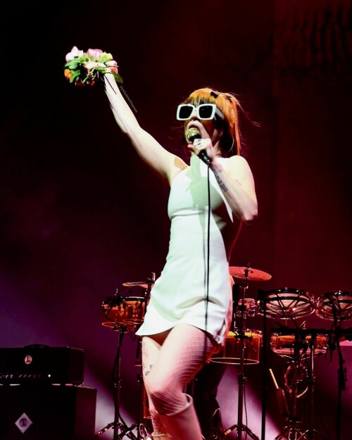 IMG 77809353c6e3b6aa1424