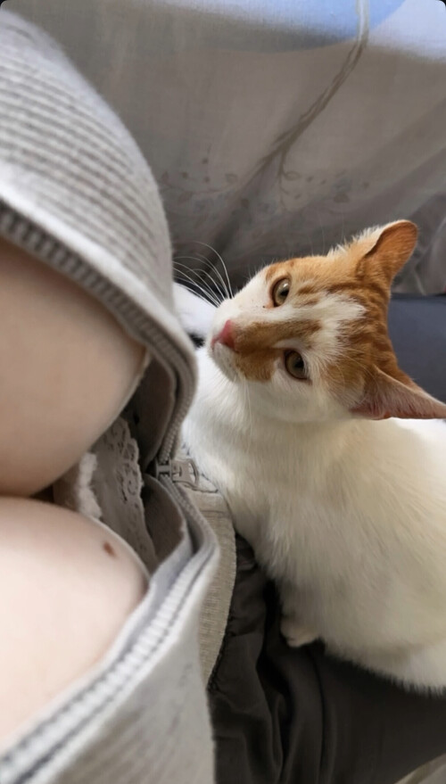 IMG 7780be4beac48c723f27