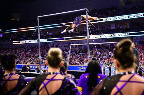 IMG 7914fe68b76cbbb17ced