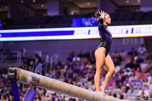 IMG 79247e04a3b546249e89