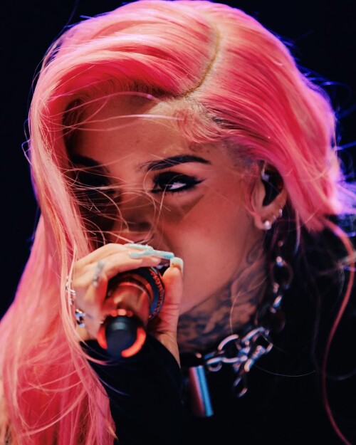 IMG 803647d33a39f5c12b13