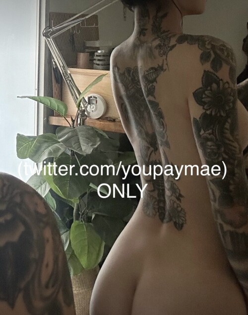 IMG 80786da4a02e4656df99