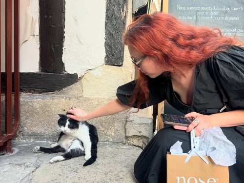 IMG 81209b5a0e4e8de5d62b4b698328dea64266