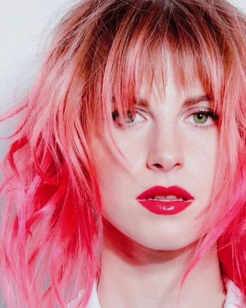 IMG 8142691d855a99c0e949