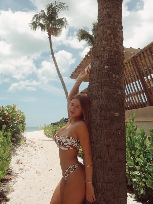 IMG 8191d591fcff50df5eae