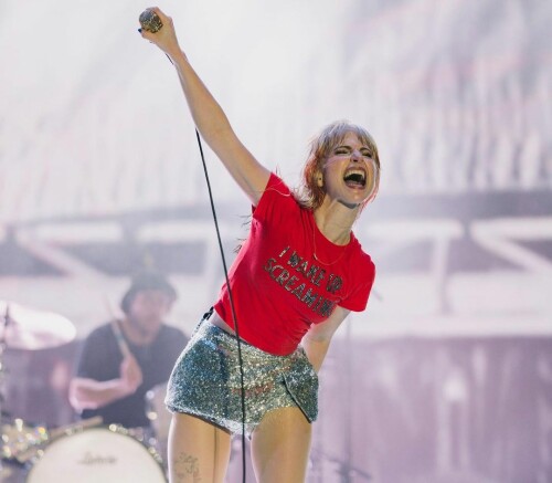 IMG 8192bee05fa8729afb08