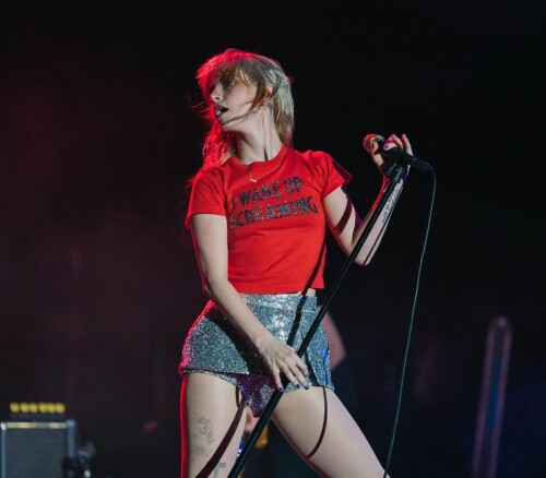 IMG 8197944fcc8b12b61be6