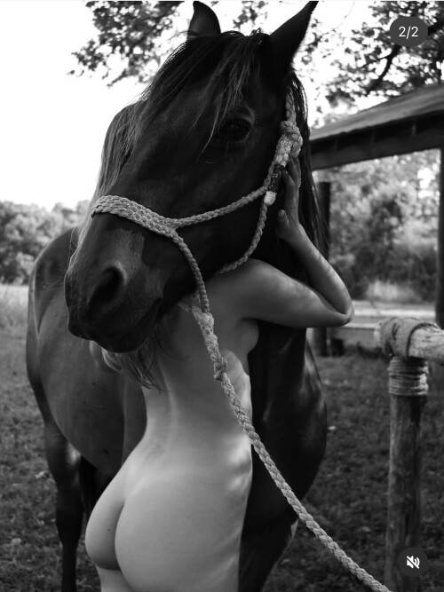 IMG 8197b9aab721da1e41e5