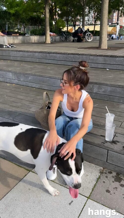 IMG 8211860881cf38aac544