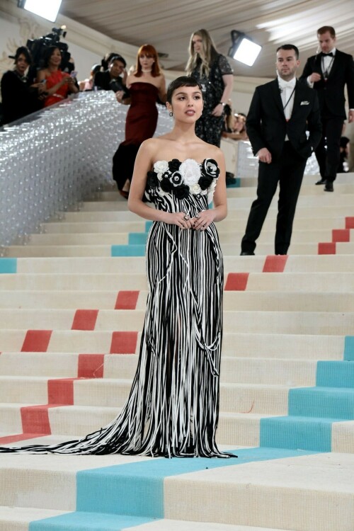 IMG 82260ec4ded9047cebc3