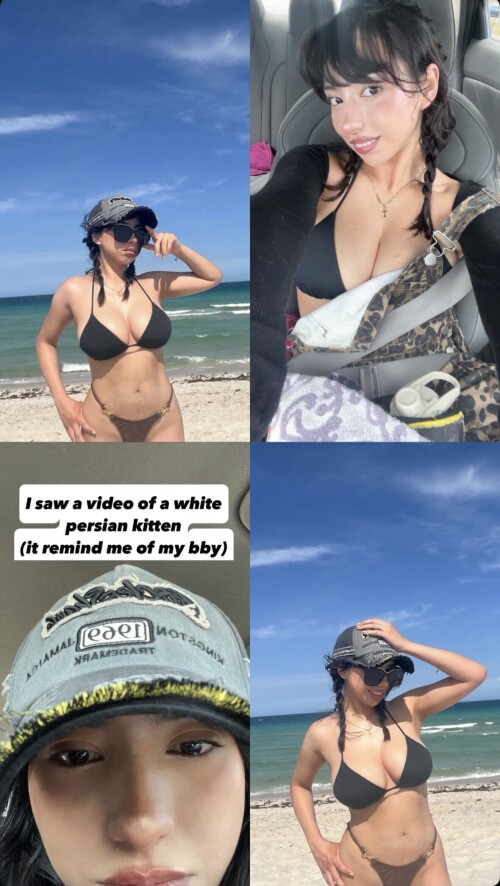 IMG 8446550fecc402adb47e