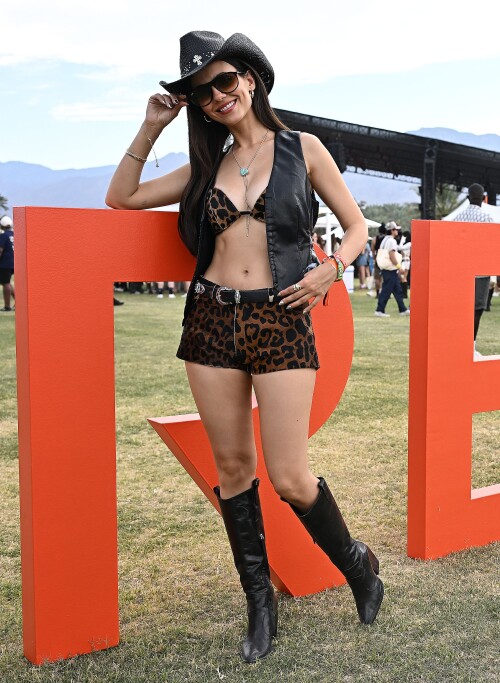 IMG 85033aec390d36c2dae3