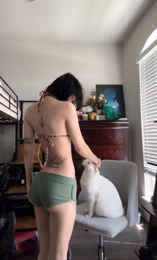 IMG 85902bf1234d003e3f76