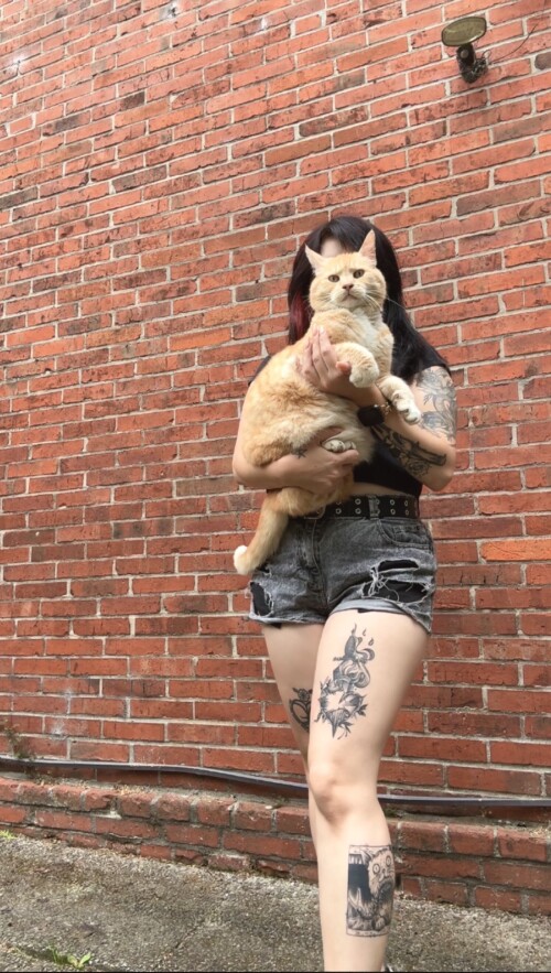 IMG 860532967fd5844a7834