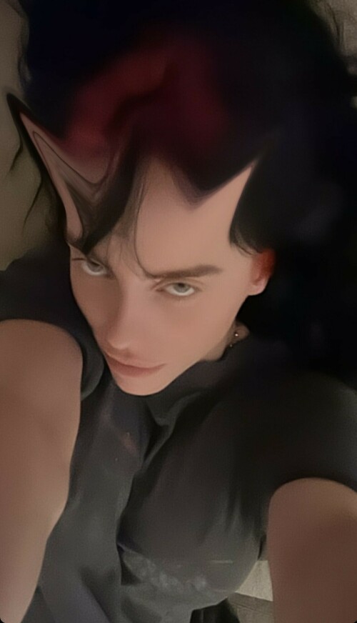 IMG 8628826315c8f425d548