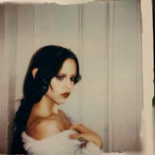 IMG 8644ed75d7d6667d620b