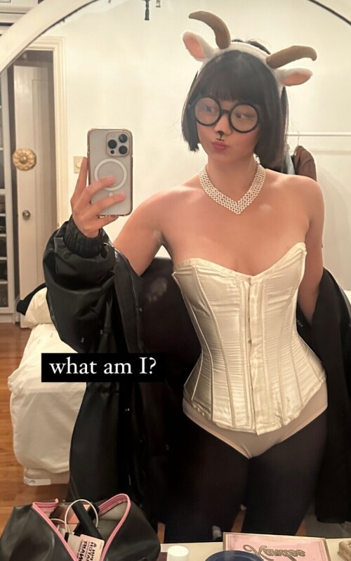 IMG 8649b7d5a6e6a289e4e4