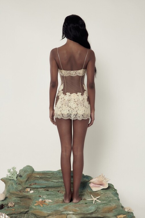 IMG 86683ce25d185c8e2edf