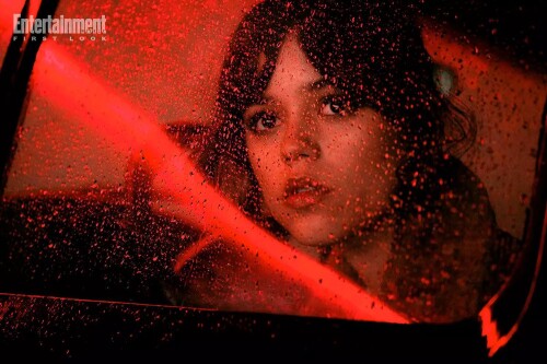 IMG 873197ba1c3b6e58b44e