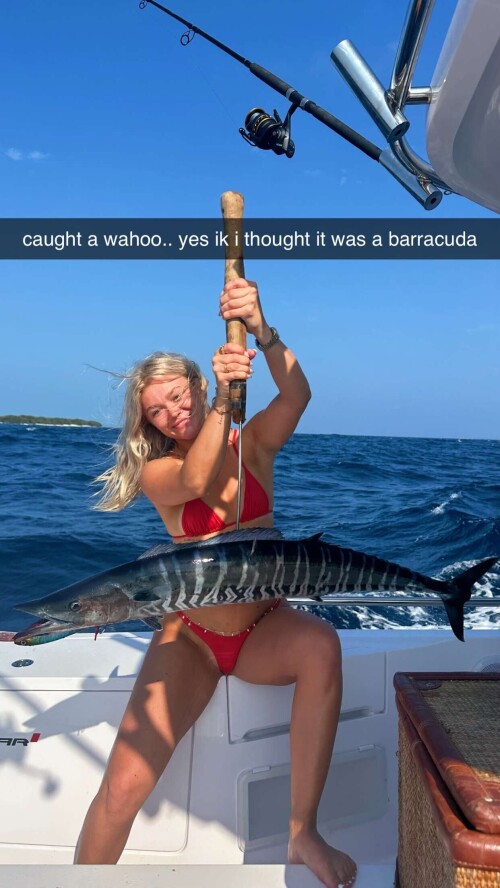 IMG 8738a5627c6e3907700b