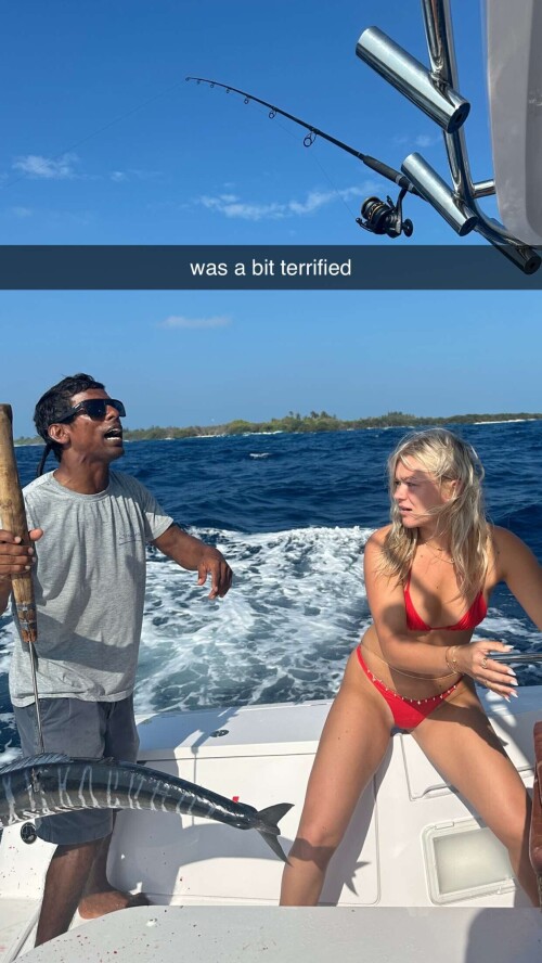 IMG 87396098bfc54df7cf4a