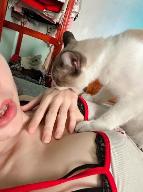 IMG 8764f941b5b0e93dcf48