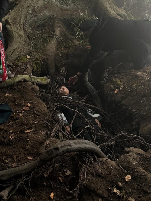 IMG 87852c29912ac50d8945