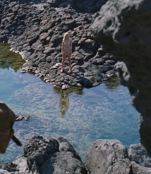 IMG 88036cb28ef5cab3cecf