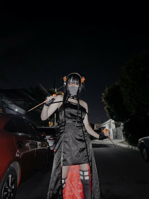 IMG 8833751fd6b943a37a71