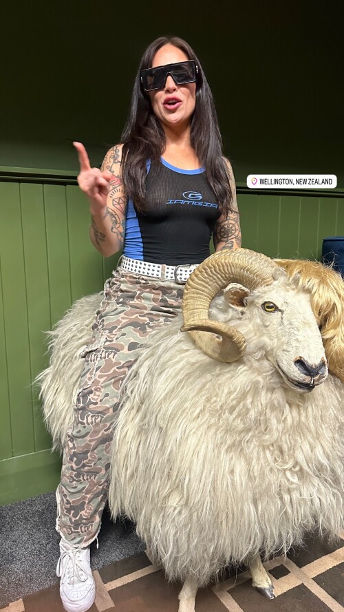 IMG 884769dbb5fea42118ce