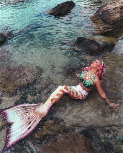 IMG 88817ea65f7ea5679461