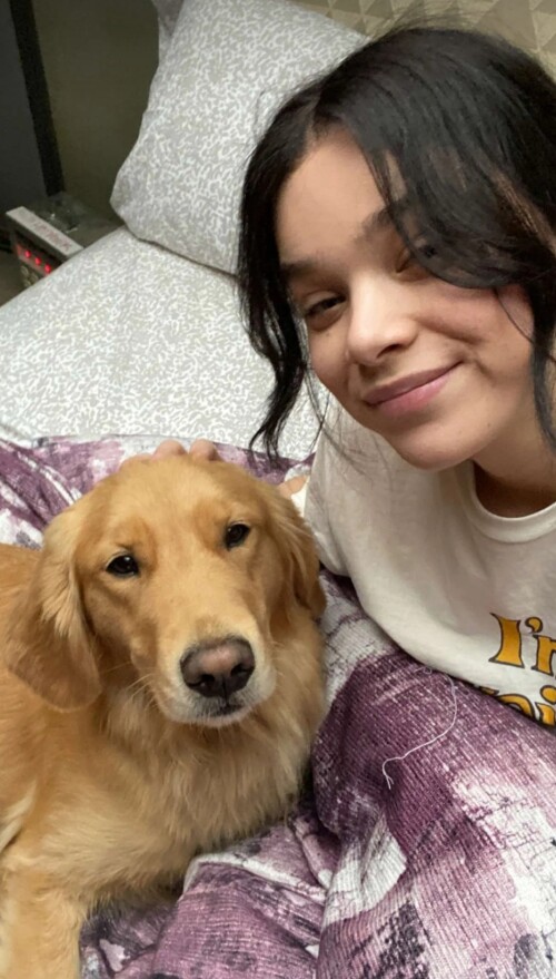 IMG 8912c531e051f6b43bc4